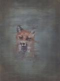 Fox Reflection